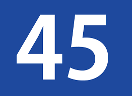 Forty-Five Game Rules