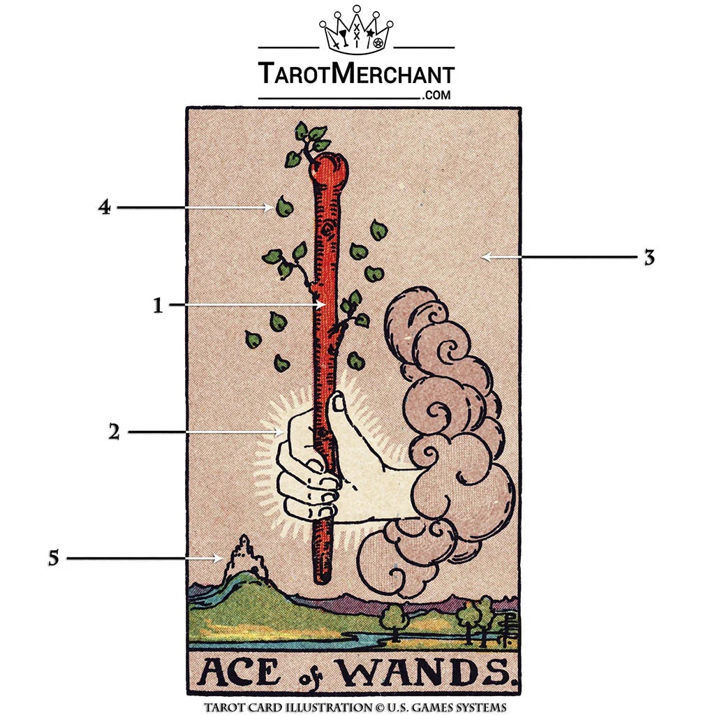 Ace of Wands Tarot Card Meanings with Infographic