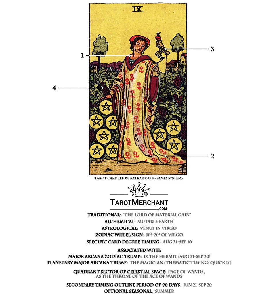 Tarot Card Meanings with Infographic: Nine of Pentacles