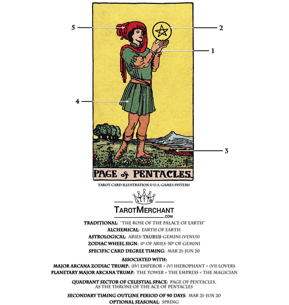 Tarot Card Meanings with Infographic: Page of Pentacles