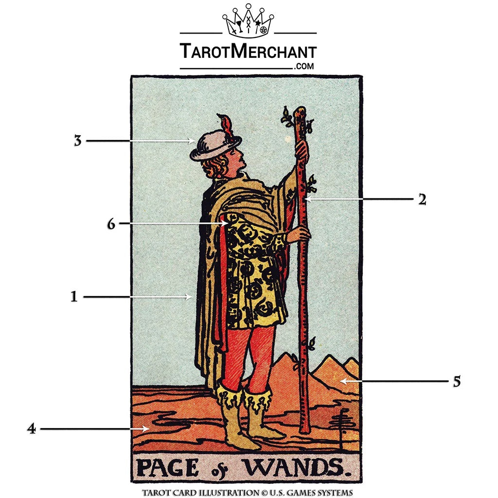 Page of Wands Tarot Card Meanings with Infographic
