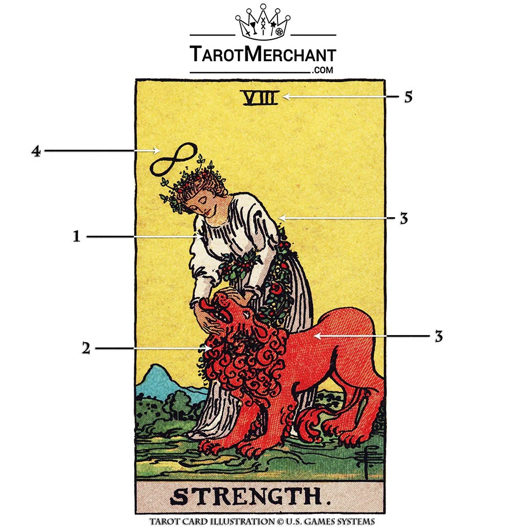 Strength Tarot Card Meanings