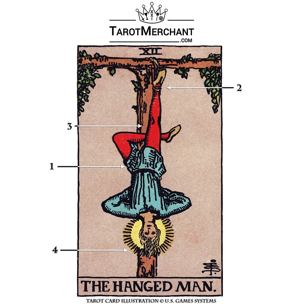 Hanged Man Tarot Card Meanings with Infographic