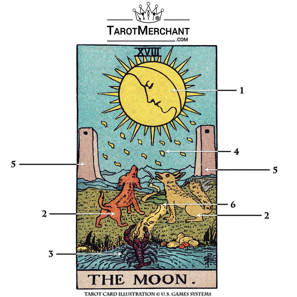 Moon Tarot Card Meanings with Infographic