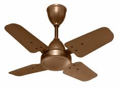 Fan Tan Game Rules