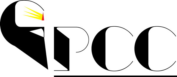 guru playing card company