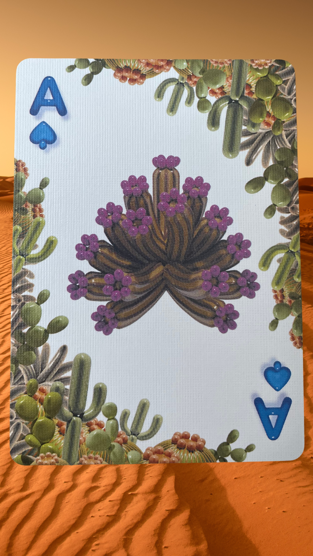 Balloon Desert Bicycle Playing Cards