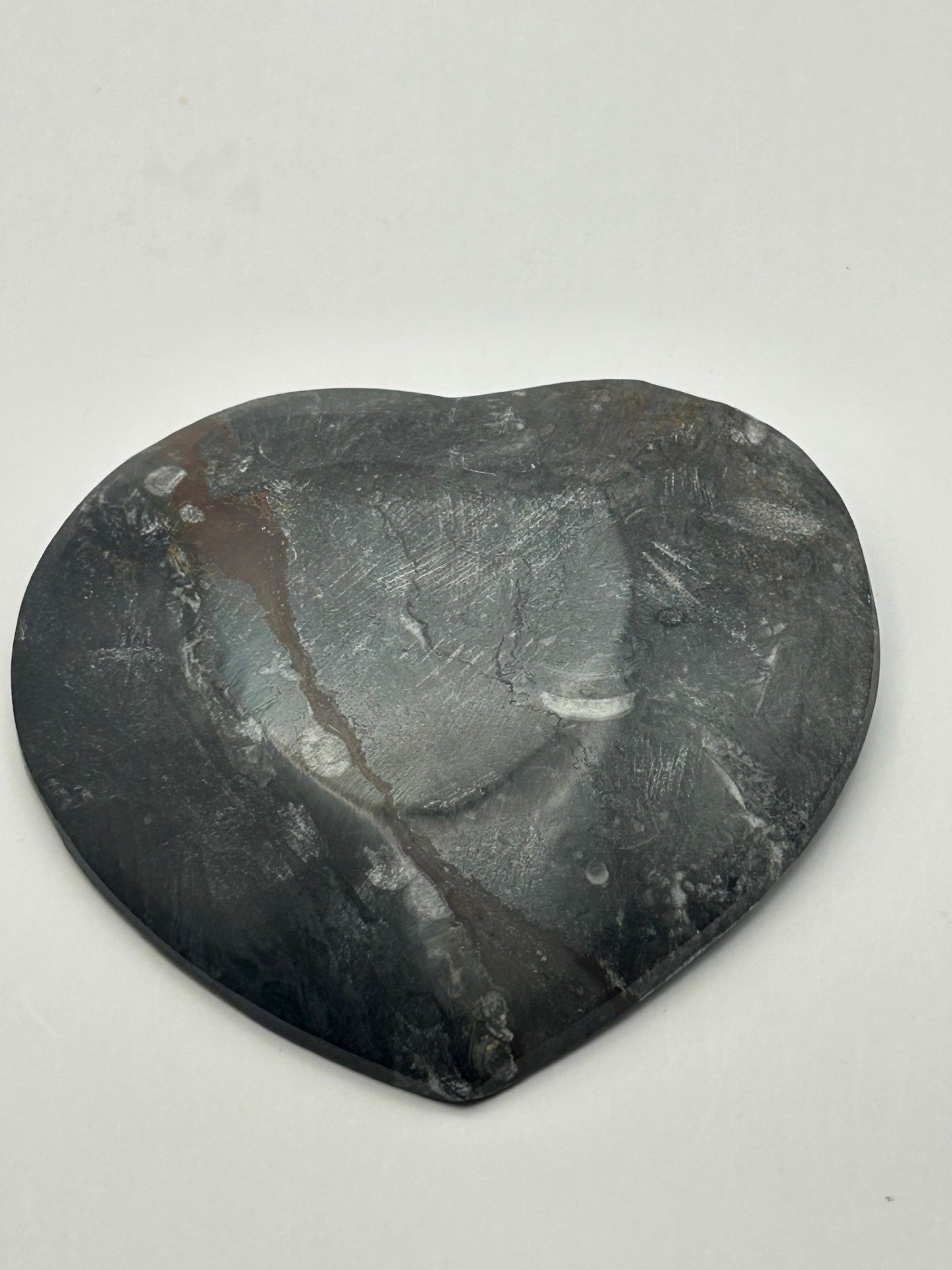 Orthoceras Fossil Heart Shaped Dish