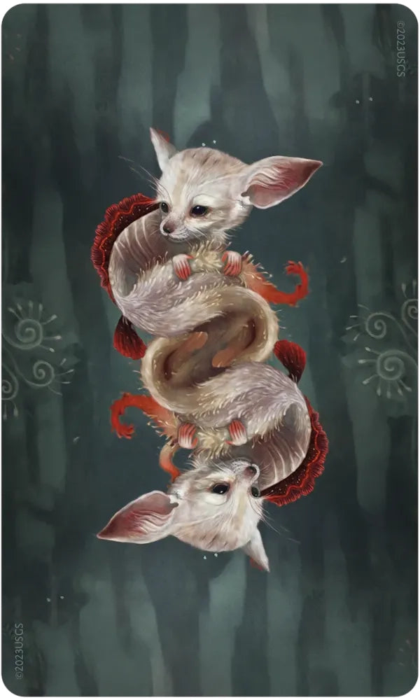 Wisdom of the Wild Things Oracle