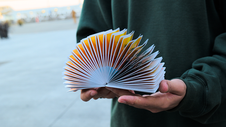 Limited Edition Suzy Accordion Cards by Legends Playing Card Co.