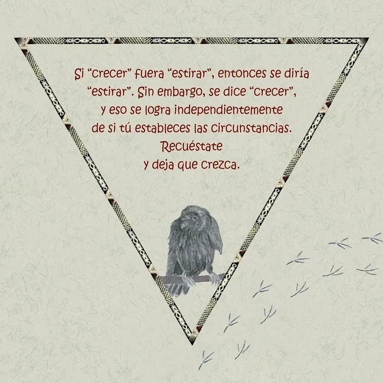 Spanish Raven Cards Oracle