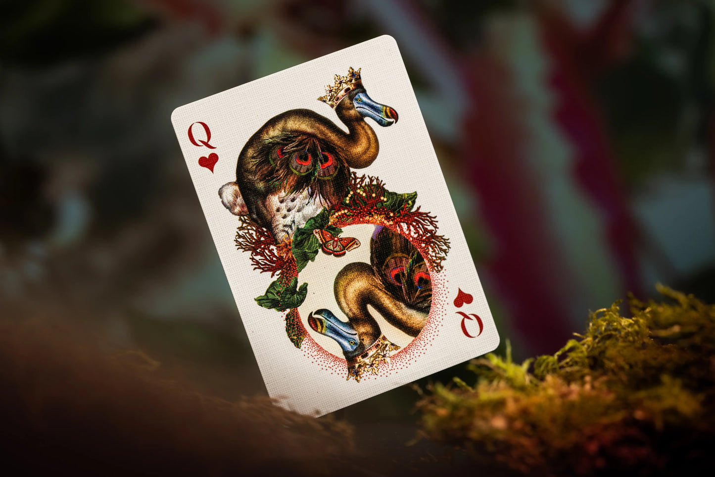 Extinct Animals Playing Cards by Theory 11 - Moooi Collaboration