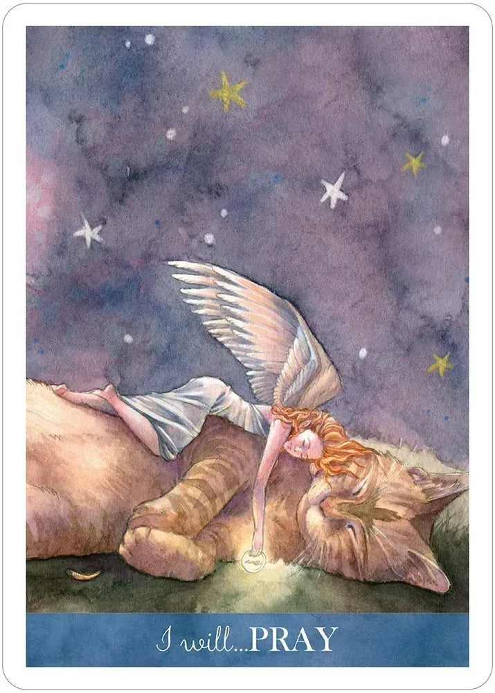 Find Your Light Inspiration Deck USGS