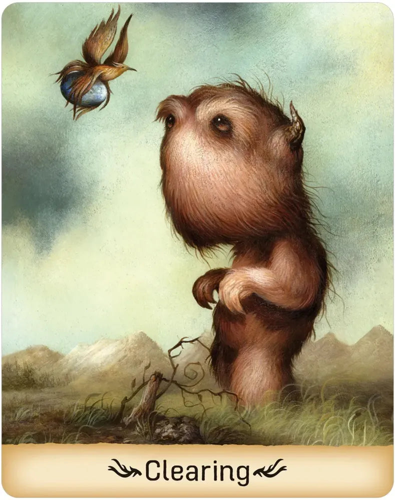 Gentle Creatures Wisdom Deck USGS