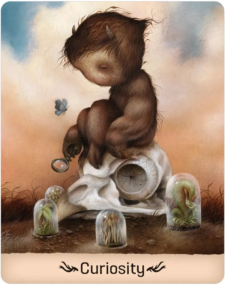 Gentle Creatures Wisdom Deck USGS