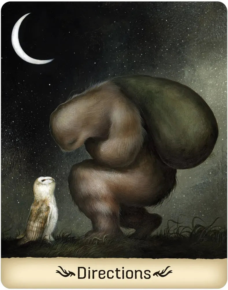 Gentle Creatures Wisdom Deck USGS