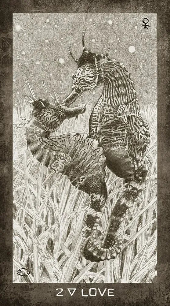 New Era Elements Tarot Deck USGS