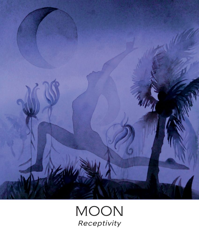 Nature & Soul Yoga Wisdom Cards USGS