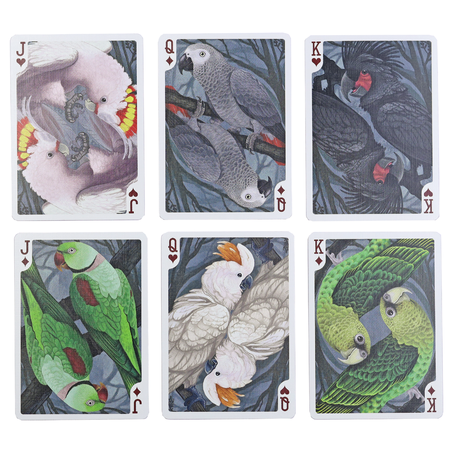 Parrot Bicycle Limited Edition Playing Cards