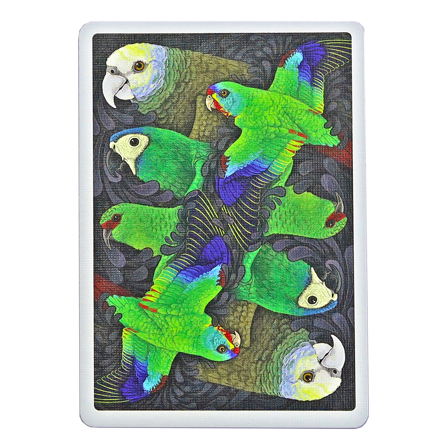 Parrot Bicycle Limited Edition Playing Cards
