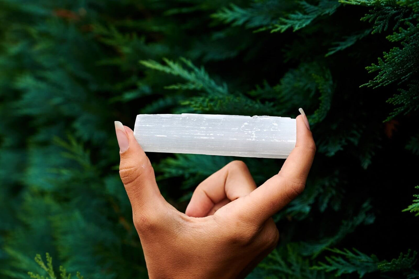 Selenite Crystal 4"
