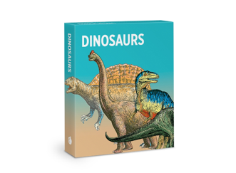 Dinosaurs Knowledge Cards