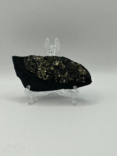 Pyrite on Shungite from Brazil