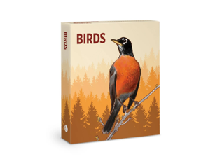 Birds Knowledge Cards