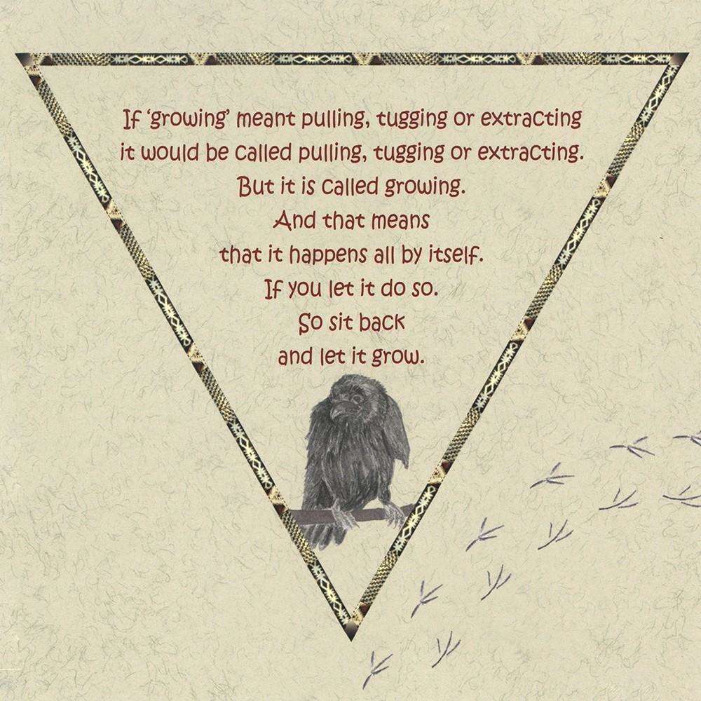 Raven Oracle Cards - Insights to Guide Today's Choices