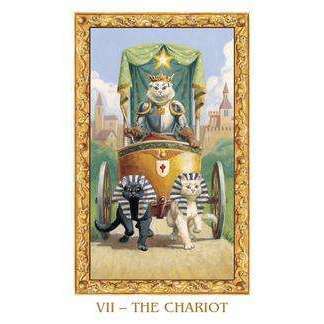 PlayingCardDecks.com-White Cats Mini Tarot Deck - 78 Cards & Instruction Booklet