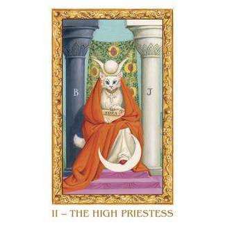 PlayingCardDecks.com-White Cats Mini Tarot Deck - 78 Cards & Instruction Booklet