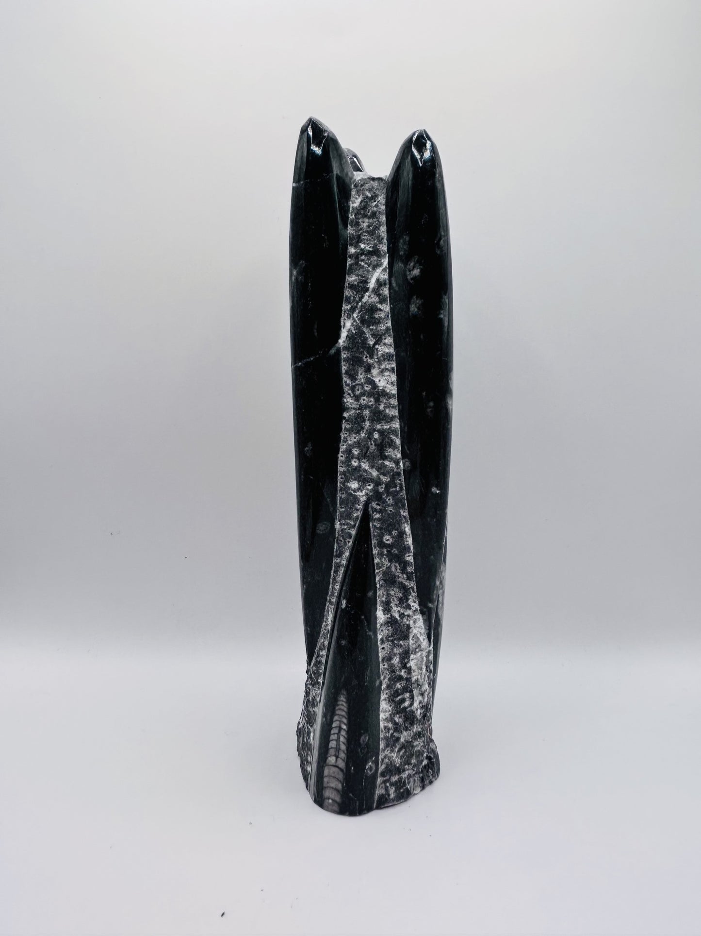 Polished Orthoceras Fossil – 9" Sculpture