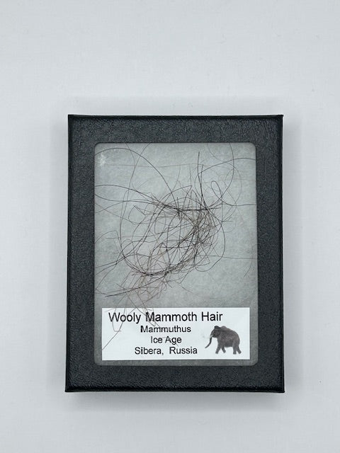 Wooly Mammoth Hair