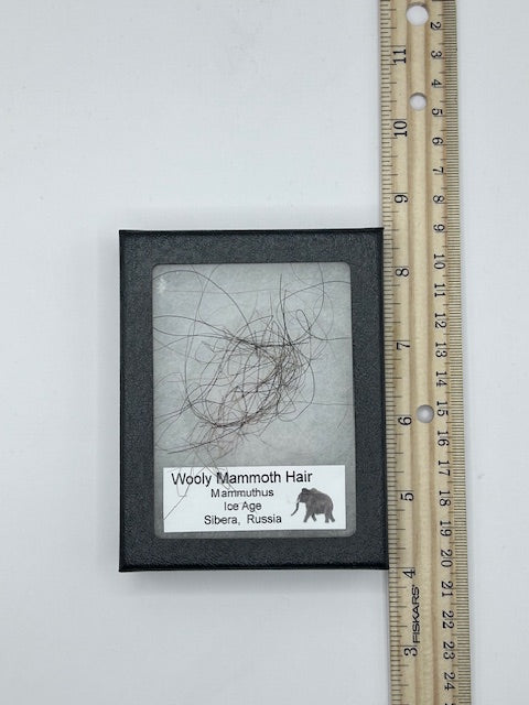Wooly Mammoth Hair