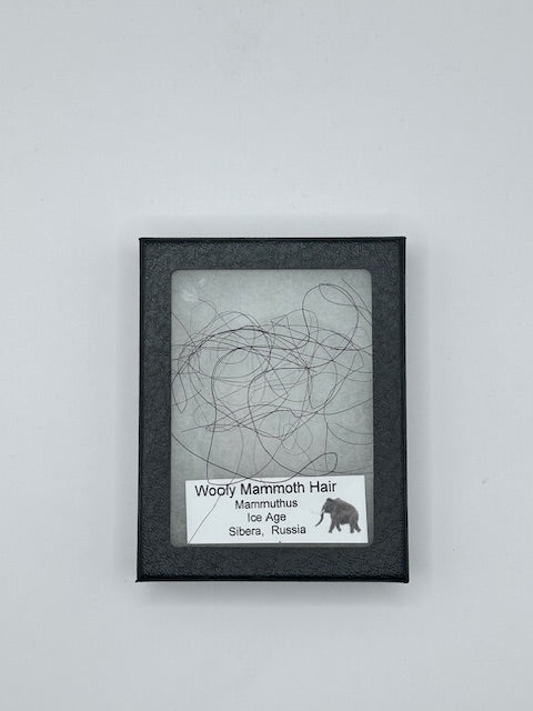 Wooly Mammoth Hair