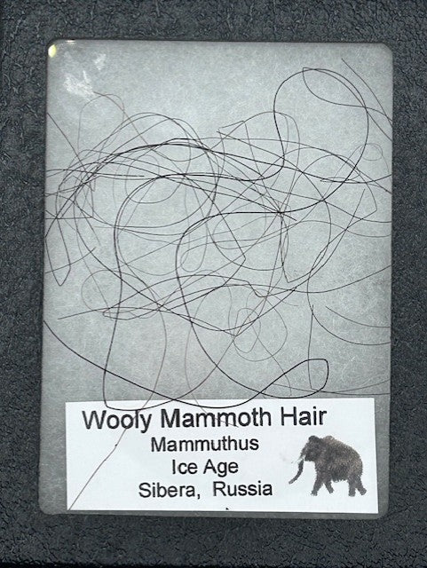Wooly Mammoth Hair