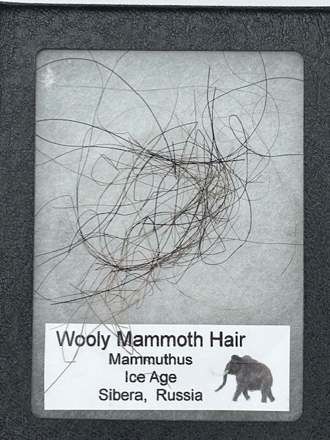 Wooly Mammoth Hair