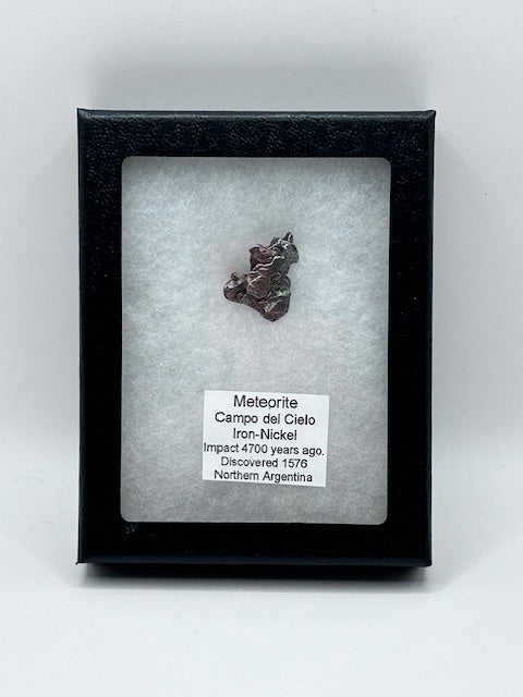 Meteorite - Campo del Cielo