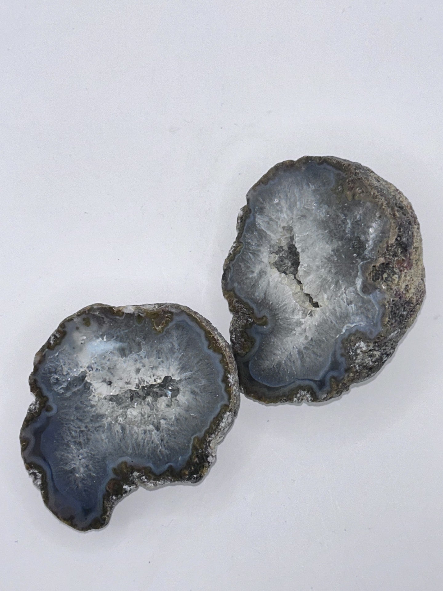 Coconut Geodes- Pair