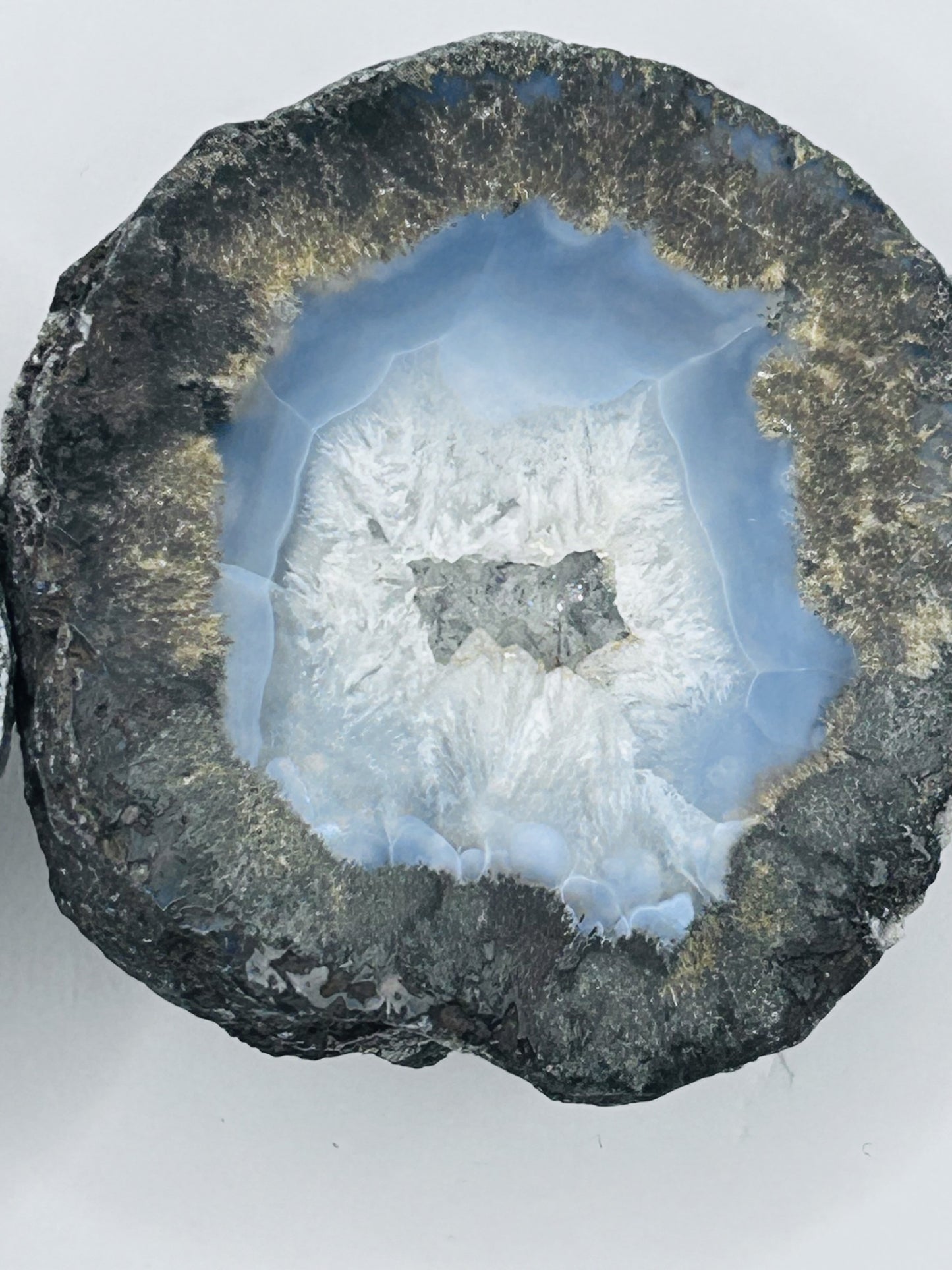 Coconut Geodes - Pair