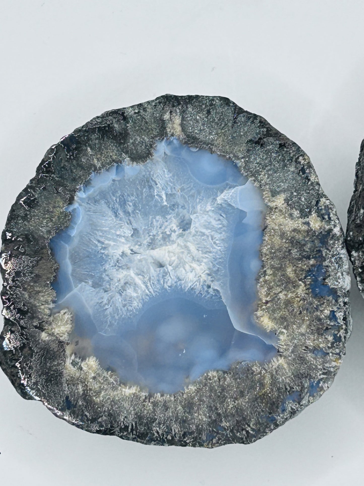 Coconut Geodes - Pair