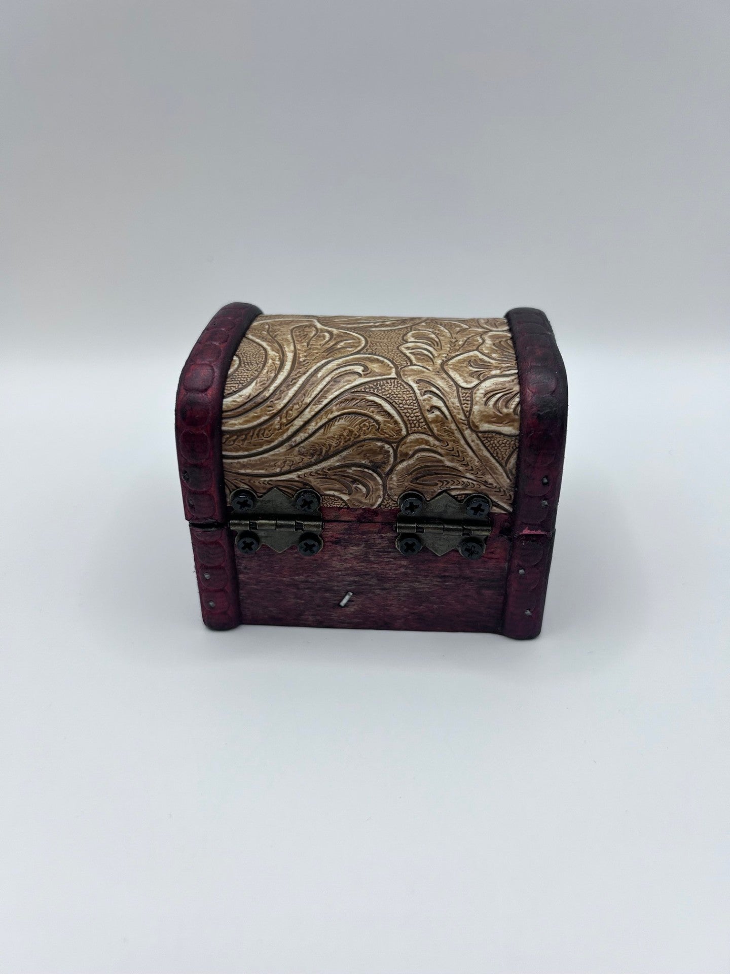 Shark Teeth & Aquatic Fossils