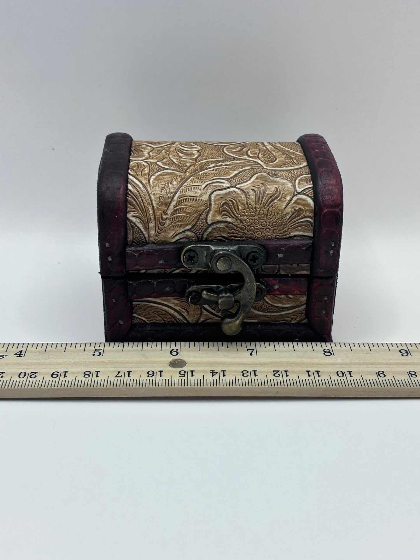 Shark Teeth & Aquatic Fossils