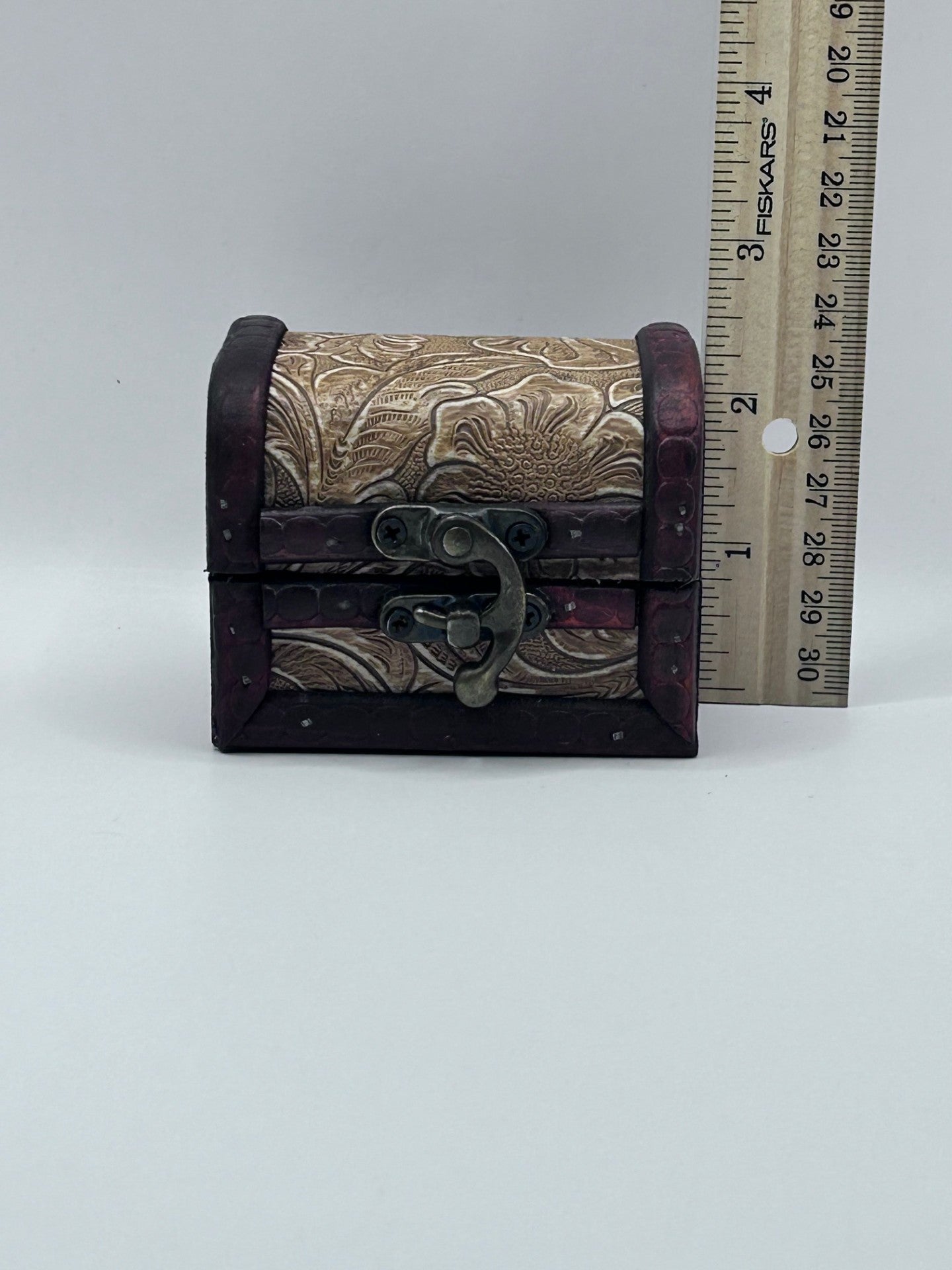 Shark Teeth & Aquatic Fossils