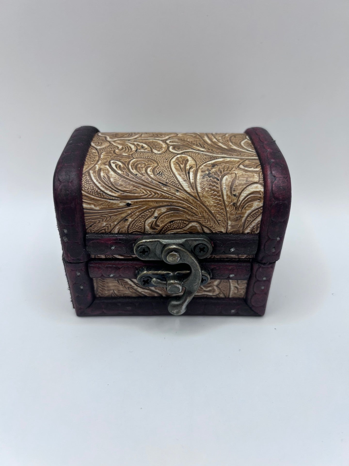 Shark Teeth & Aquatic Fossils