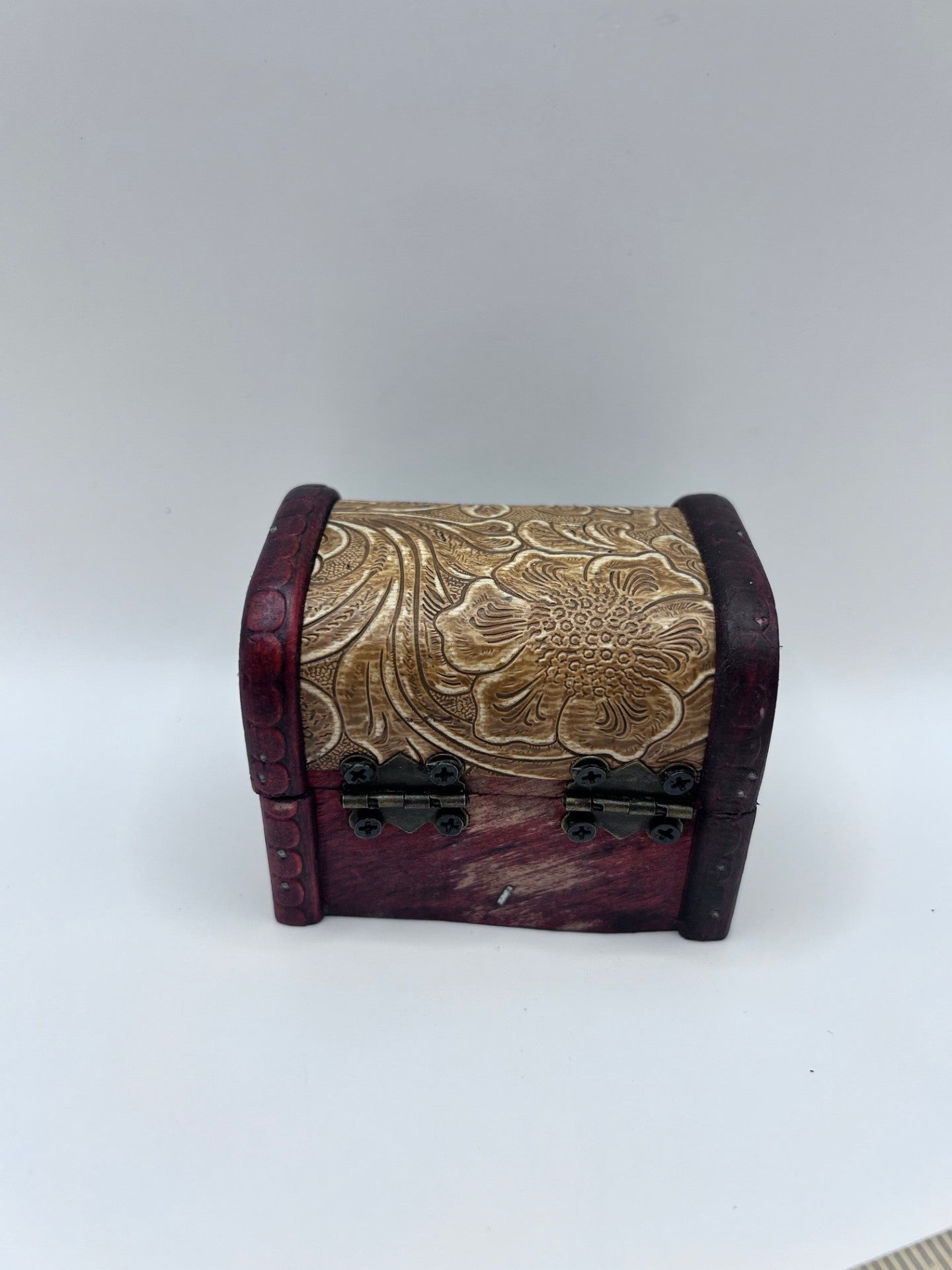 Shark Teeth & Aquatic Fossils