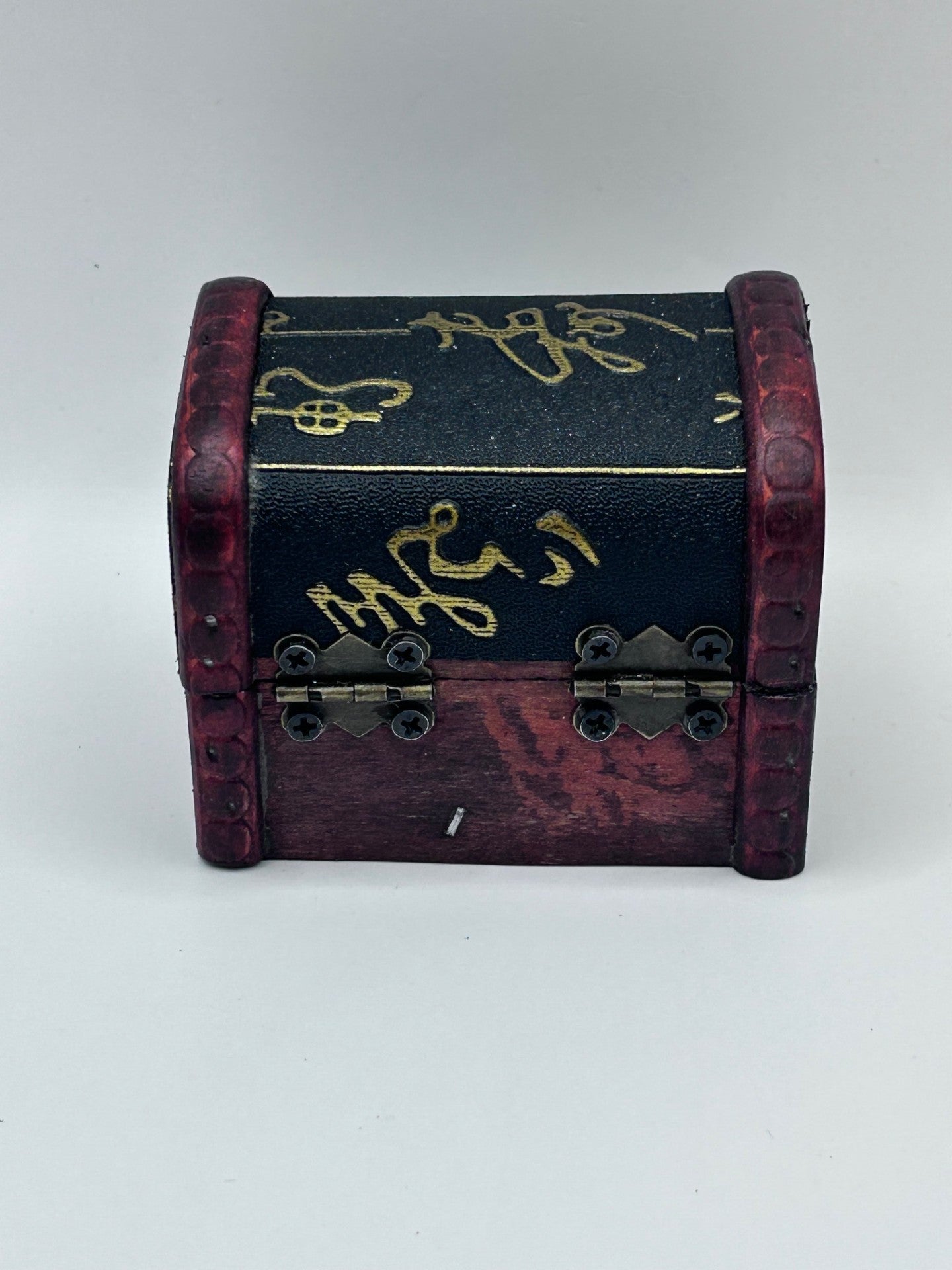 Shark Teeth & Aquatic Fossils