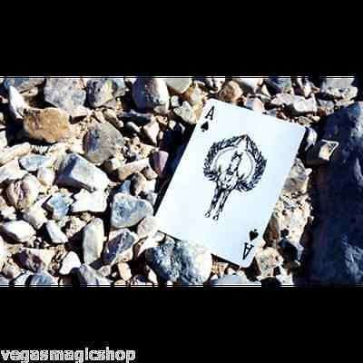 PlayingCardDecks.com-Titan Playing Cards USPCC