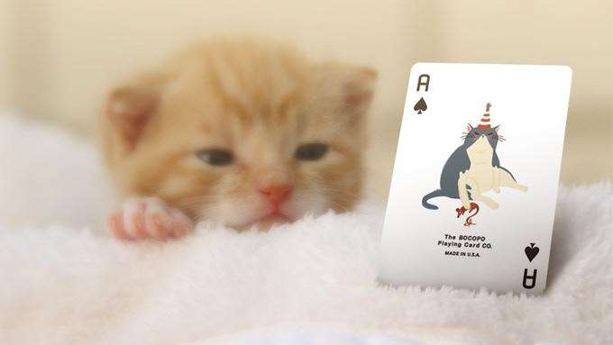 PlayingCardDecks.com-Meow Star Cat Playing Cards USPCC