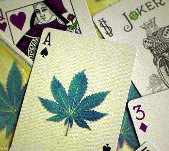 PlayingCardDecks.com-Hemp Bicycle Playing Cards